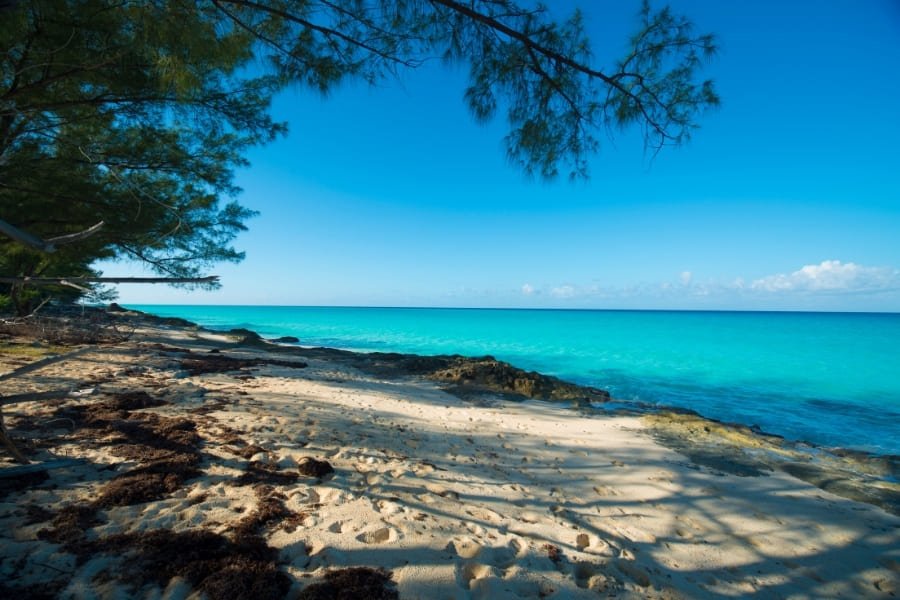 Beach on Bimini Island, Bahamas