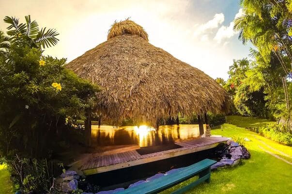 Trinidad & Tobago All Inclusive Resorts: Kariwak Village and Holistic Haven